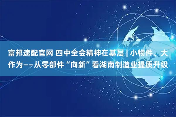 富邦速配官网 四中全会精神在基层 | 小物件、大作为——从零部件“向新”看湖南制造业提质升级