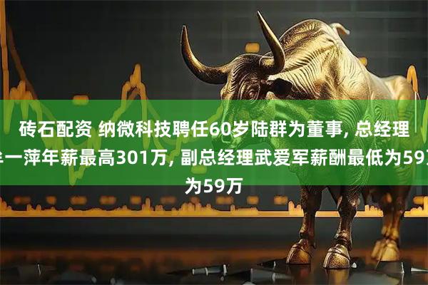砖石配资 纳微科技聘任60岁陆群为董事, 总经理牟一萍年薪最高301万, 副总经理武爱军薪酬最低为59万