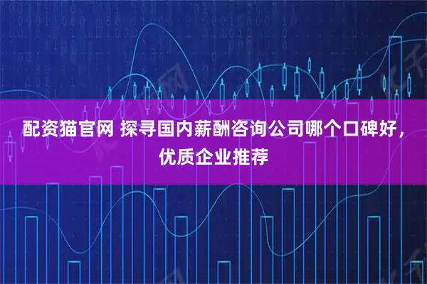 配资猫官网 探寻国内薪酬咨询公司哪个口碑好，优质企业推荐