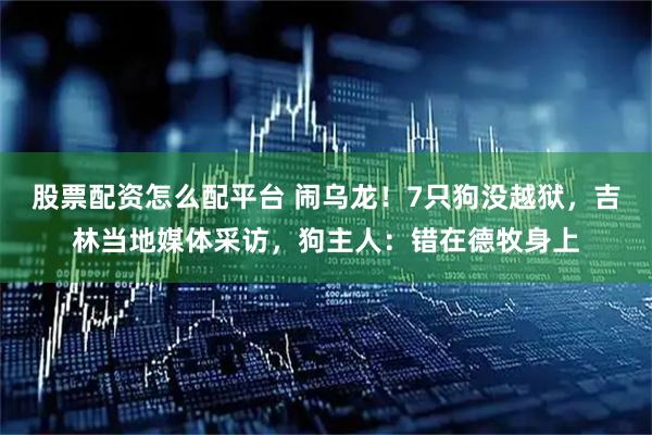 股票配资怎么配平台 闹乌龙！7只狗没越狱，吉林当地媒体采访，狗主人：错在德牧身上